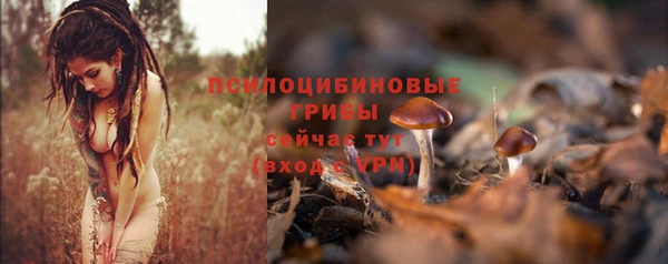 героин Липки