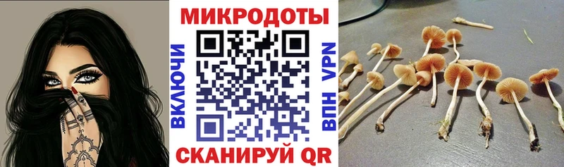 Псилоцибиновые грибы Psilocybine cubensis  Неман 